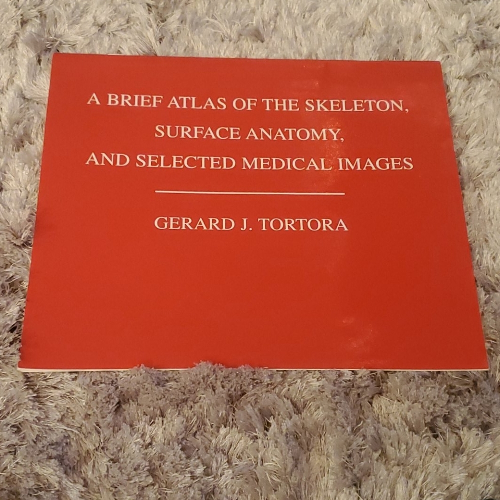 Brief atlas of skeleton, surface anatomy, images